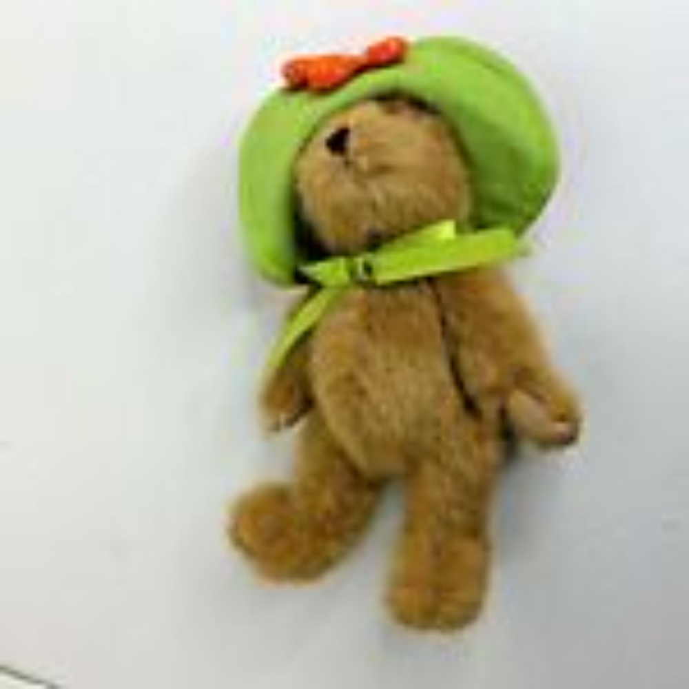 Boyd Bears Plush Stuffed Animal Toy Green Hat Bonn